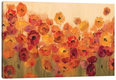 Summer Poppies II Canvas Art Print - Garden & Floral Landscape Art
