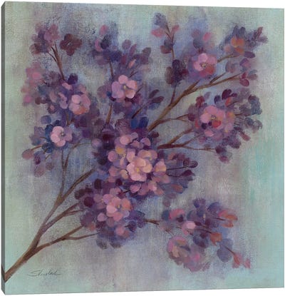 Twilight Cherry Blossoms I  Canvas Art Print - Violet