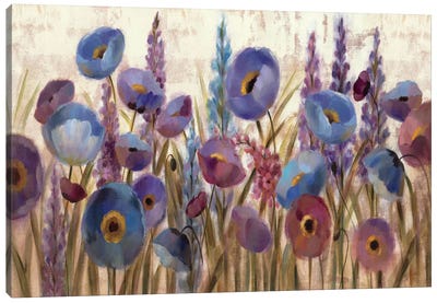 Lupines and Poppies  Canvas Art Print - Poppy Art