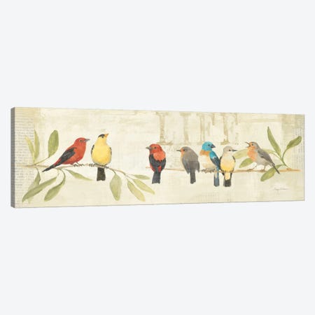 Adoration of the Magpie Panel II  Canvas Print #WAC144} by Avery Tillmon Canvas Artwork