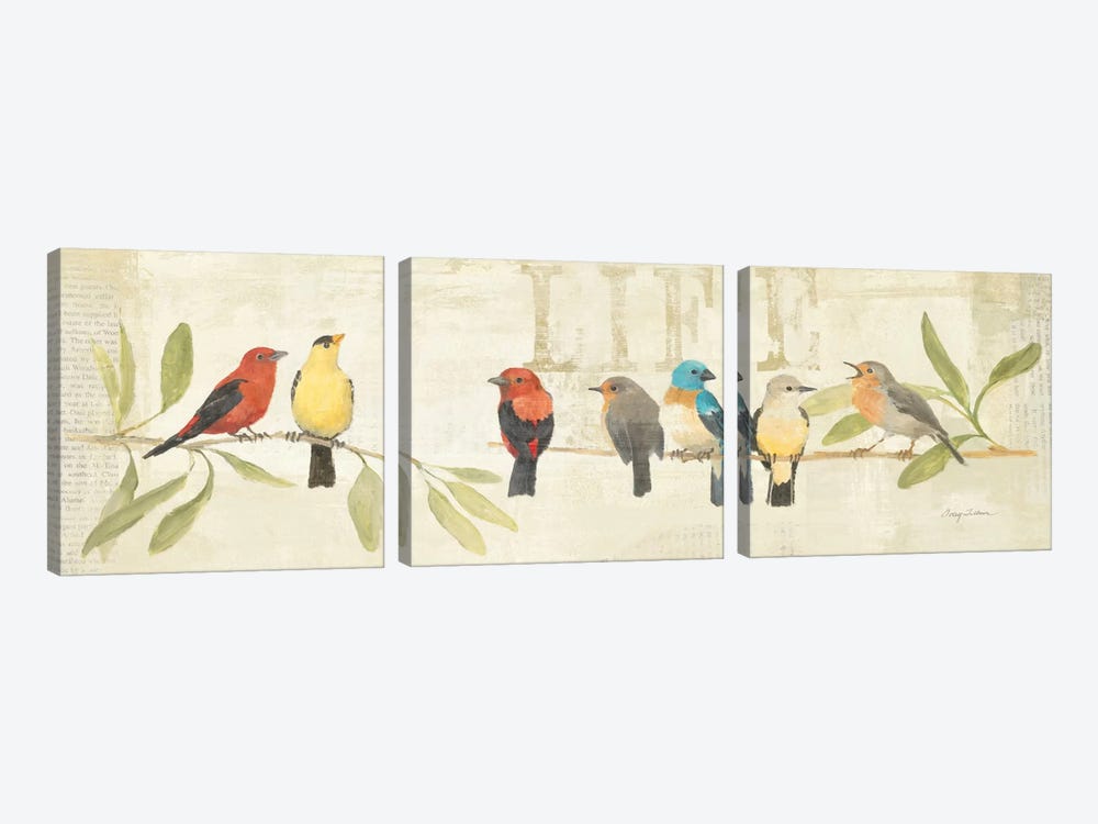 Adoration of the Magpie Panel II  by Avery Tillmon 3-piece Canvas Print