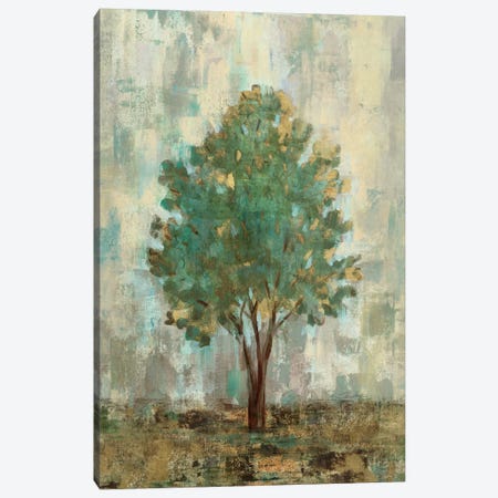 Verdi Trees II  Canvas Print #WAC1455} by Silvia Vassileva Canvas Print