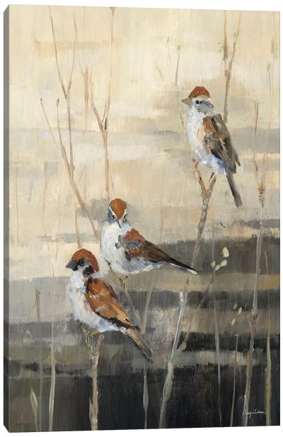 Evening Sanctuary III  Canvas Art Print - Sparrows