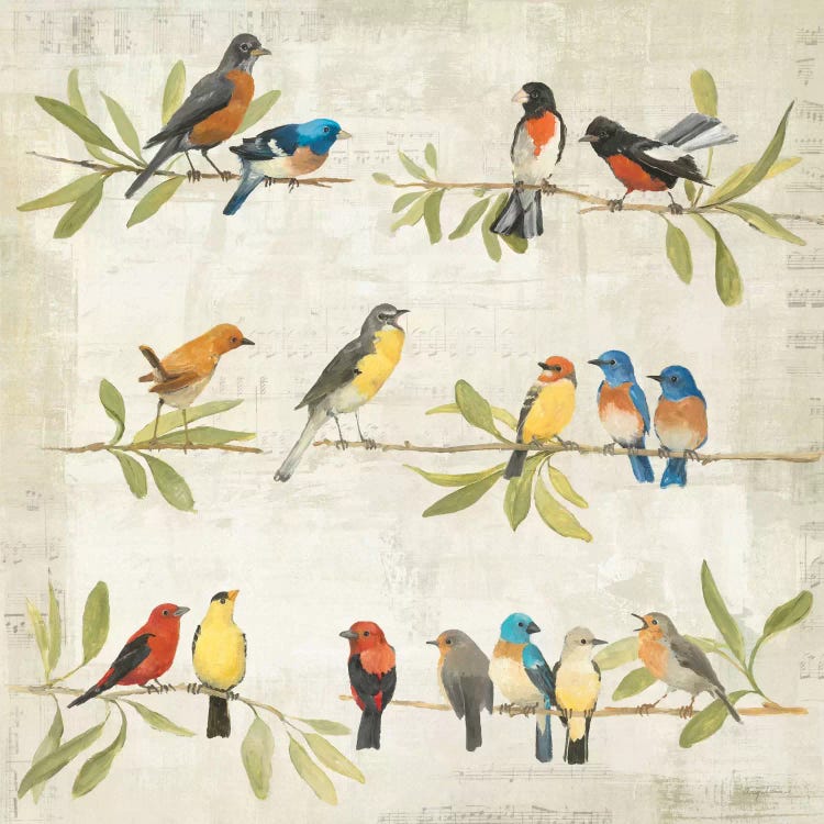 Adoration of the Magpie Music by Avery Tillmon wall art