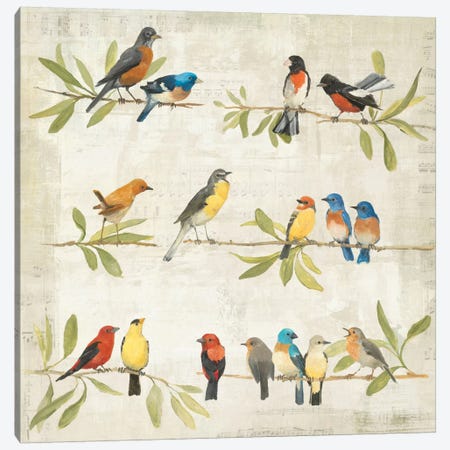 Adoration of the Magpie Music Canvas Print #WAC149} by Avery Tillmon Art Print