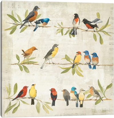 Adoration of the Magpie Music Canvas Art Print - Bird Art