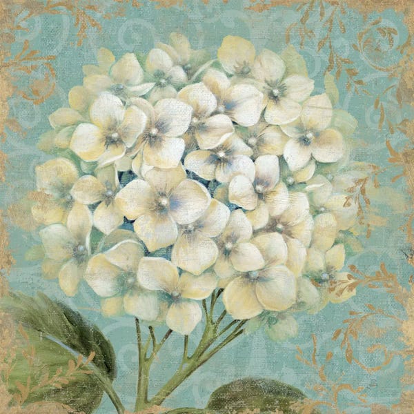Shabby Chic Décor: Hydrangea Square I by Wild Apple Portfolio