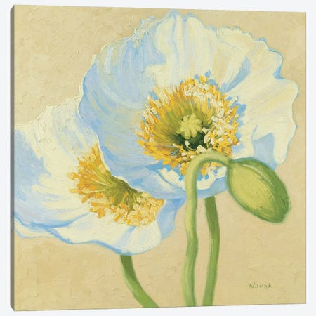White Poppies III Canvas Print #WAC1602} by Wild Apple Portfolio Canvas Art Print