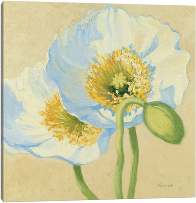 White Poppies III Canvas Art Print - Soft Yellow & Blue