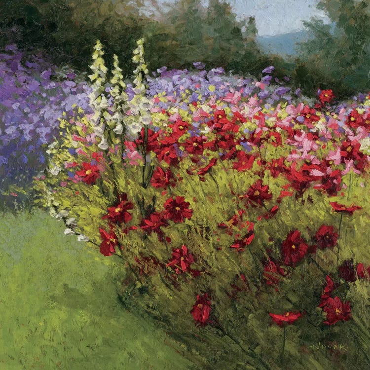 46 Cosmos Garden I by Shirley Novak wall art