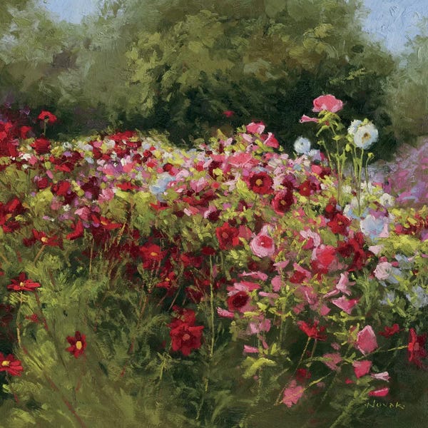 Gardens & Floral Landscapes: 46 Cosmos Garden II by Shirley Novak
