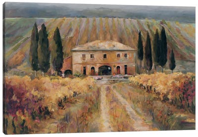 Toscana Vigna Canvas Art Print - Countryside Art