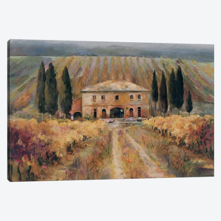 Toscana Vigna Canvas Print #WAC1615} by Wild Apple Portfolio Canvas Art Print