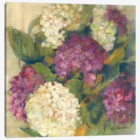 Hydrangea Delight I Canvas Print #WAC1646} by Carol Rowan Canvas Art
