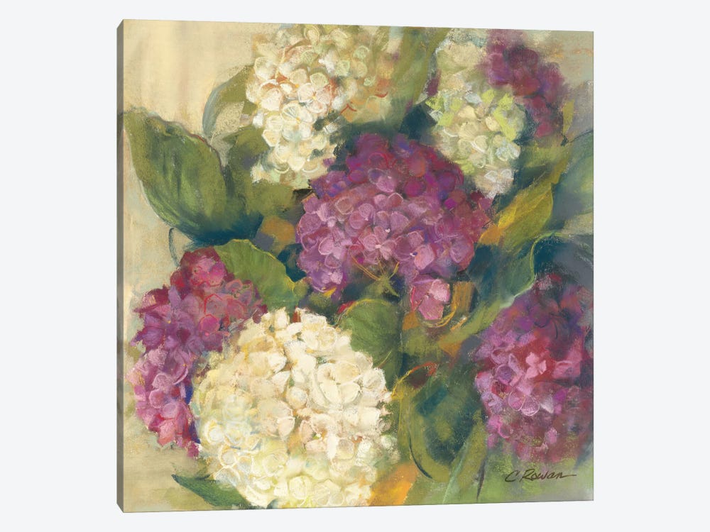 Hydrangea Delight I by Carol Rowan 1-piece Canvas Artwork