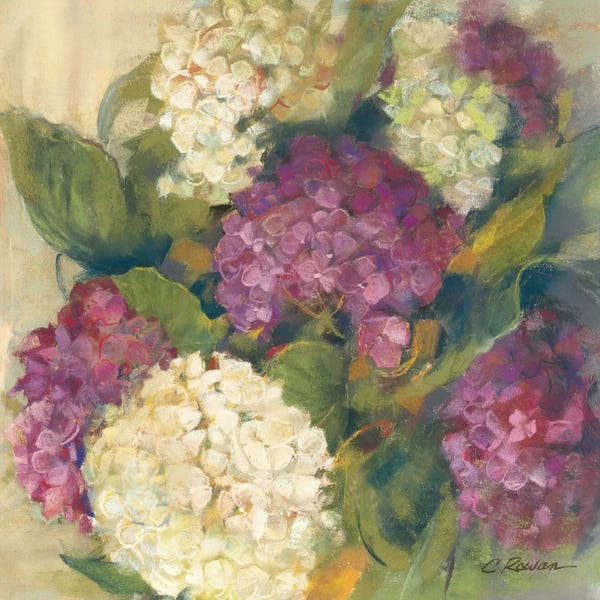 Carol Rowan: Hydrangea Delight I by Carol Rowan