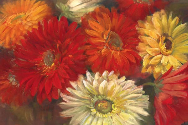 Daisies: Gerberas by Carol Rowan