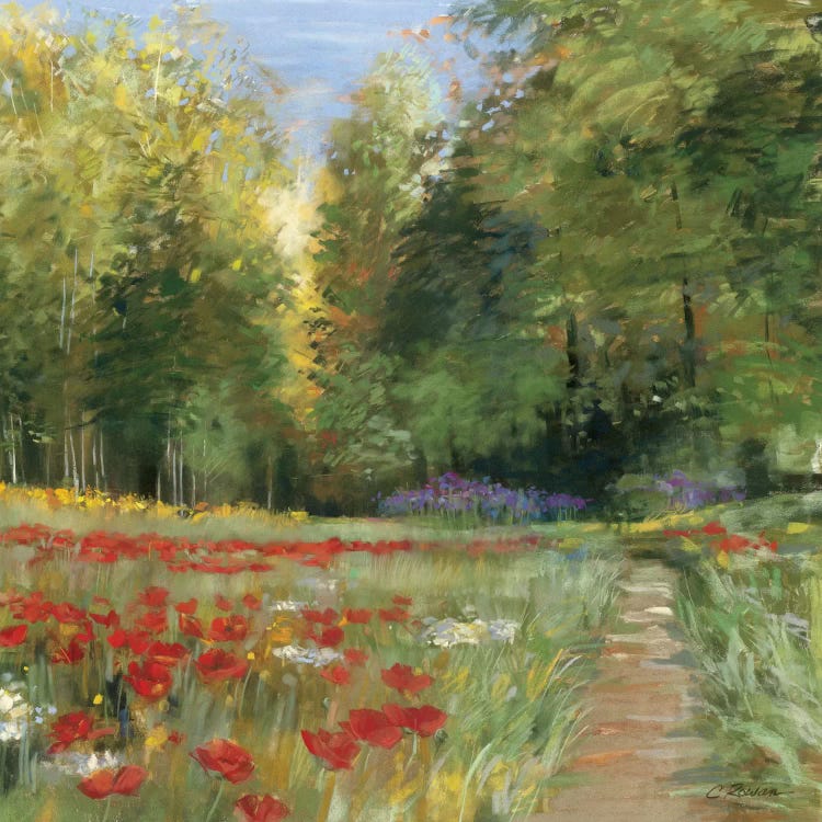 Field of Flowers by Carol Rowan wall art