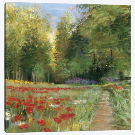 Field of Flowers Canvas Print #WAC1650} by Carol Rowan Canvas Artwork