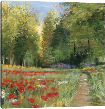 Field of Flowers Canvas Art Print - Spring Art