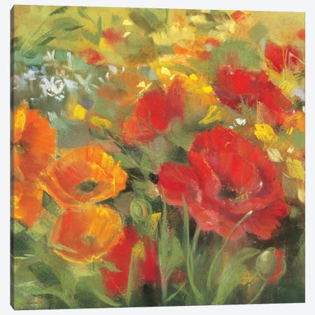 Oriental Poppy Field I Canvas Print #WAC1653} by Carol Rowan Canvas Wall Art
