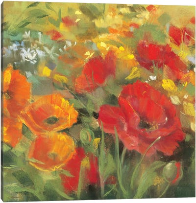 Oriental Poppy Field I Canvas Art Print - Carol Rowan