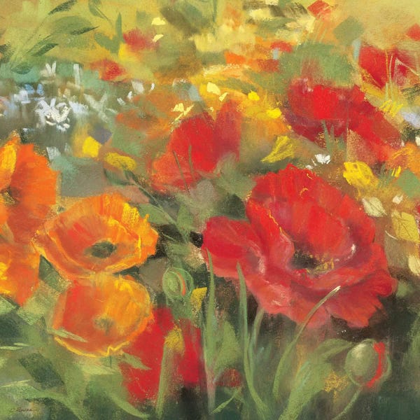 Carol Rowan: Oriental Poppy Field I by Carol Rowan