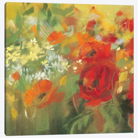 Oriental Poppy Field II Canvas Print #WAC1654} by Carol Rowan Canvas Art Print
