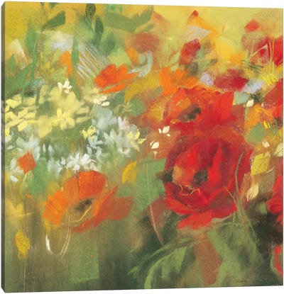 Oriental Poppy Field II Canvas Art Print - Carol Rowan