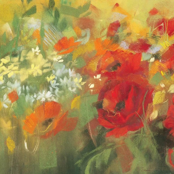 Poppies: Oriental Poppy Field II by Carol Rowan