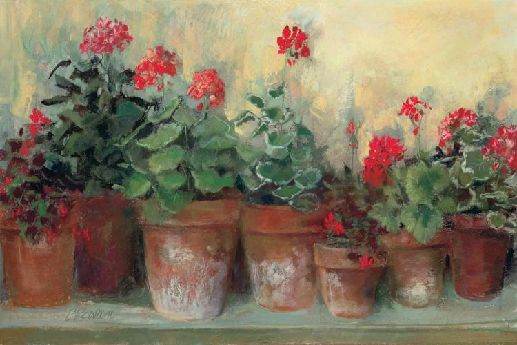 Kathleen's Geraniums