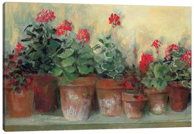 Kathleen's Geraniums Canvas Art Print - Carol Rowan