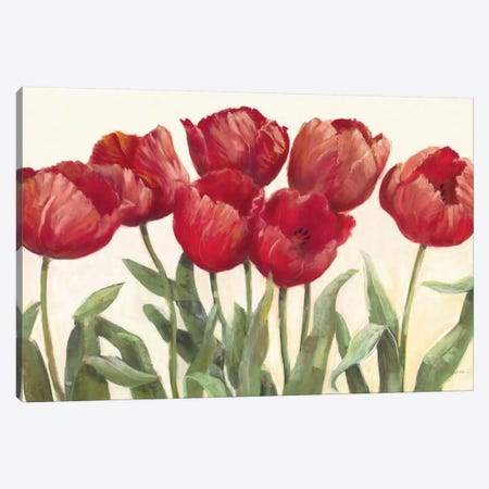 Ruby Tulips Canvas Print #WAC1656} by Carol Rowan Canvas Art Print
