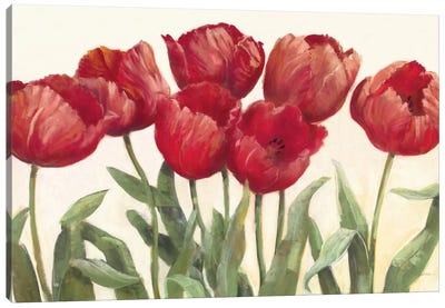 Ruby Tulips Canvas Art Print - Carol Rowan