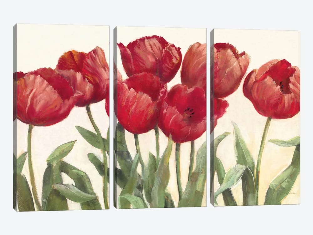 Ruby Tulips by Carol Rowan 3-piece Canvas Print