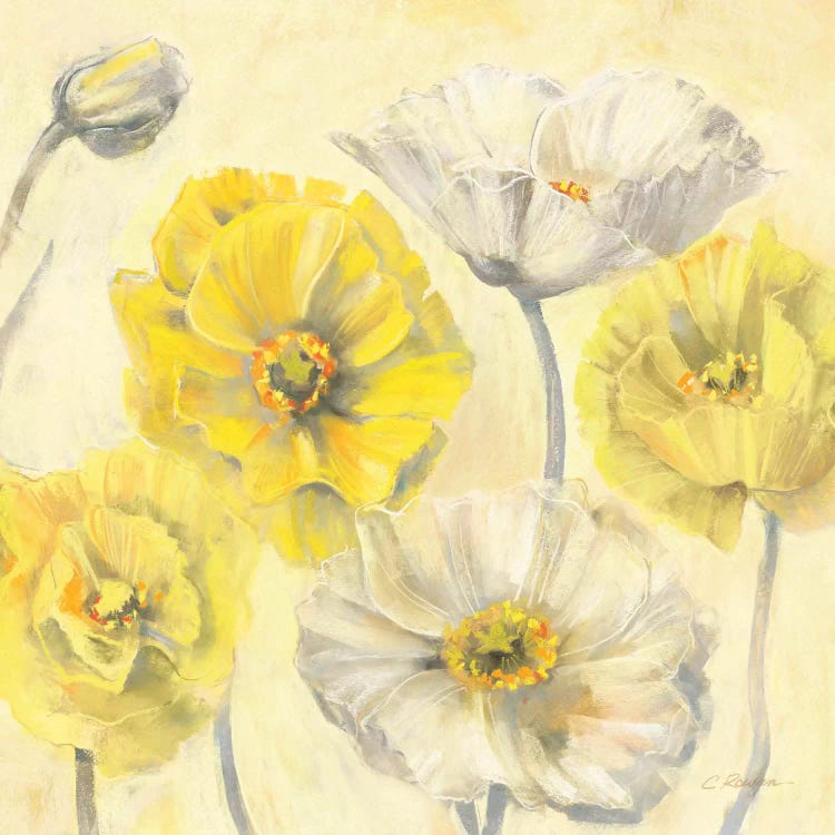 Gold and White Contemporary Poppies II by Carol Rowan wall art