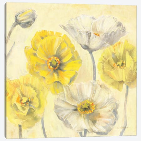 Gold and White Contemporary Poppies II Canvas Print #WAC1662} by Carol Rowan Canvas Art Print