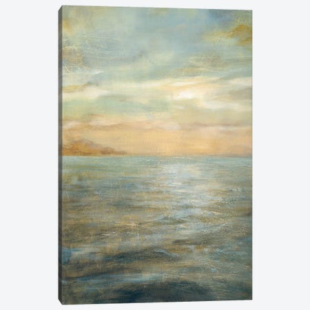 Serene Sea II Canvas Print #WAC166} by Danhui Nai Canvas Art