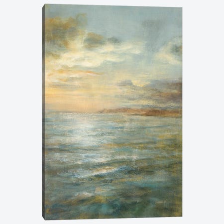 Serene Sea III Canvas Print #WAC167} by Danhui Nai Canvas Artwork