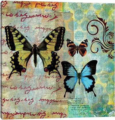 Homespun Butterfly I Canvas Art Print - Dominic Orologio