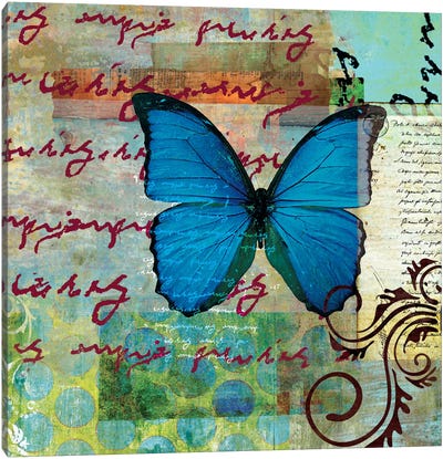 Homespun Butterfly II Canvas Art Print - Dominic Orologio