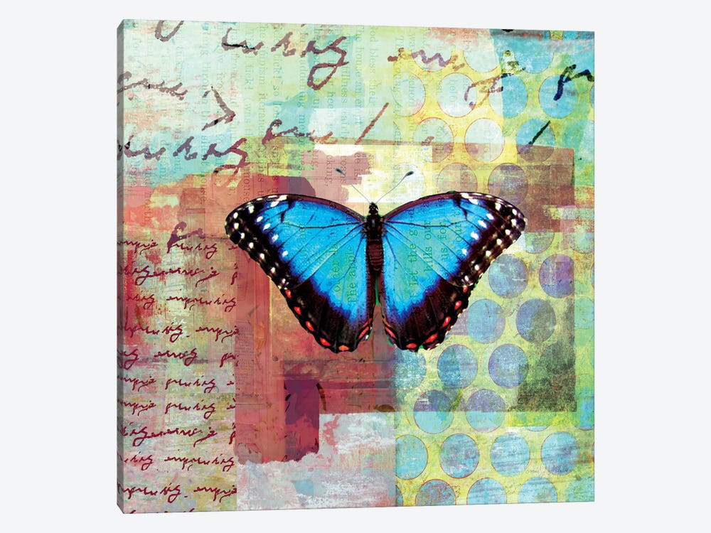 Homespun Butterfly III by Dominic Orologio 1-piece Canvas Wall Art