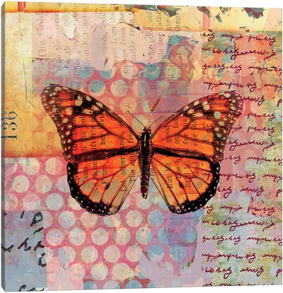 Homespun Butterfly IV Canvas Art Print - Dominic Orologio