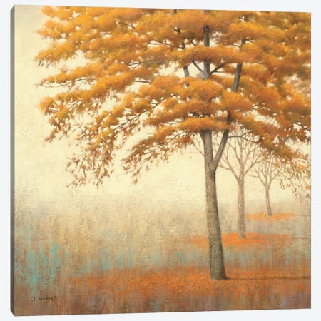 Autumn Trees I Canvas Print #WAC1706} by James Wiens Canvas Art Print