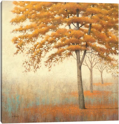 Autumn Trees I Canvas Art Print - Forest Bathing