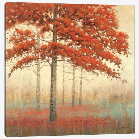 Autumn Trees II Canvas Print #WAC1707} by James Wiens Canvas Art Print