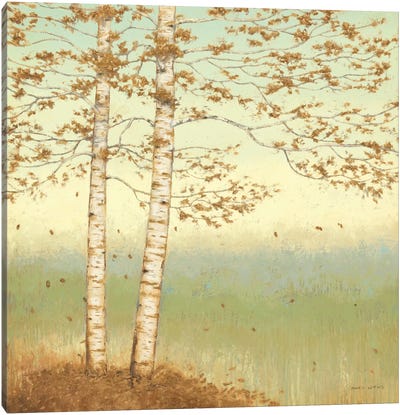 Golden Birch I with Blue Sky Canvas Art Print - Birch Tree Art