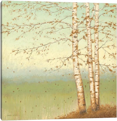 Golden Birch II with Blue Sky Canvas Art Print - Birch Tree Art