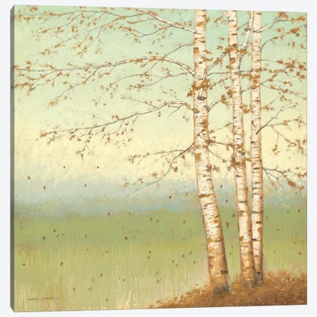 Golden Birch II with Blue Sky Canvas Print #WAC1711} by James Wiens Art Print