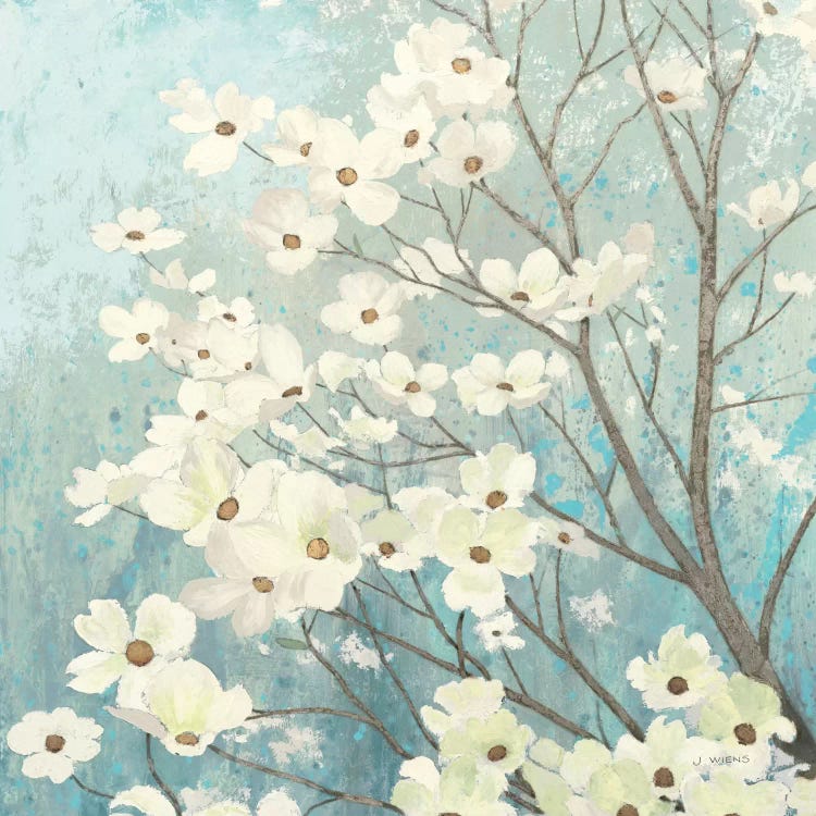 Dogwood Blossoms I by James Wiens wall art